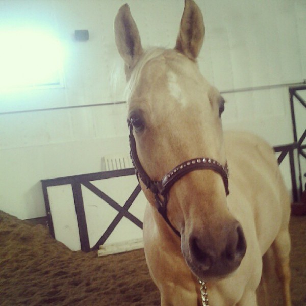 Photo de profil de audreyjobin