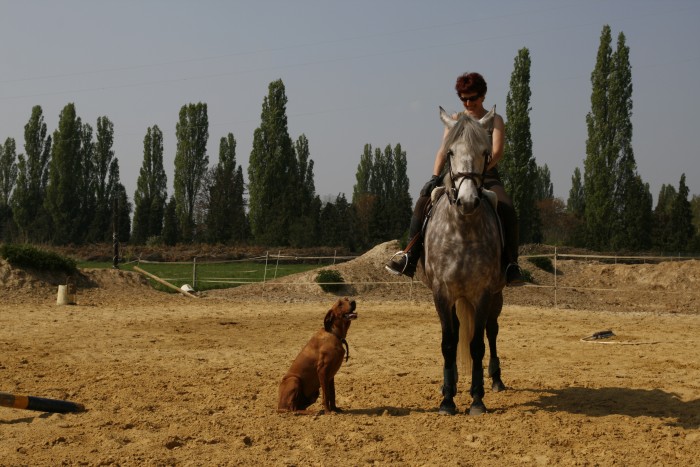 Photo de profil de bdeledmia