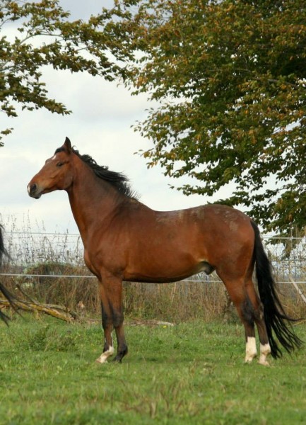 Photo de profil de bib95
