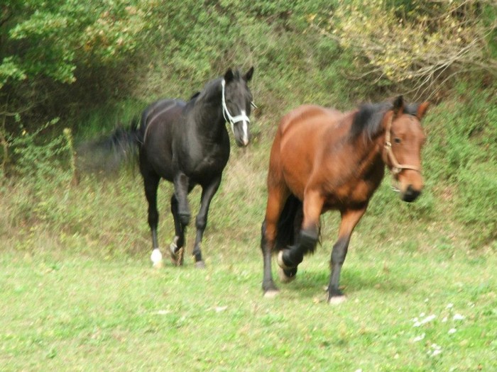 Photo de profil de bibiminette