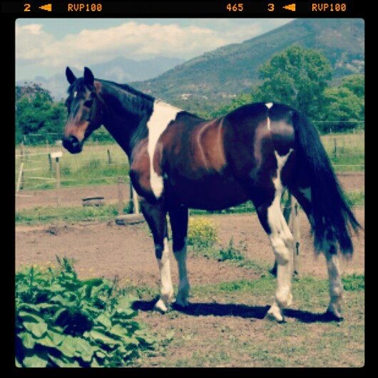 Photo de profil de boisseau