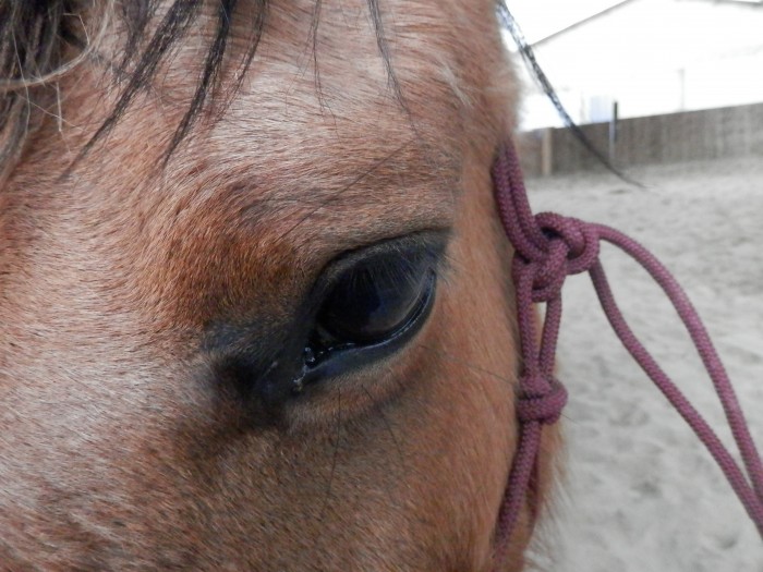 Photo de profil de bountie2498
