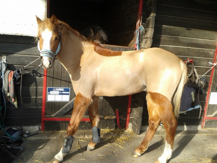 Photo de profil de burny