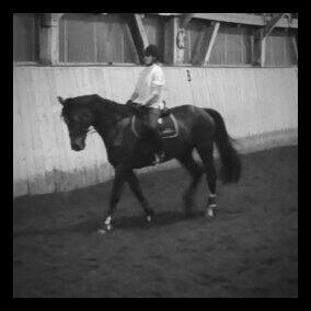 Photo de profil de carlar