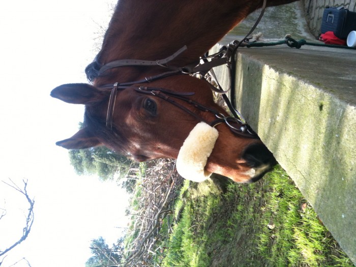 Photo de profil de carolineetmao