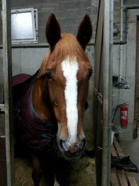 Photo de profil de cedric67