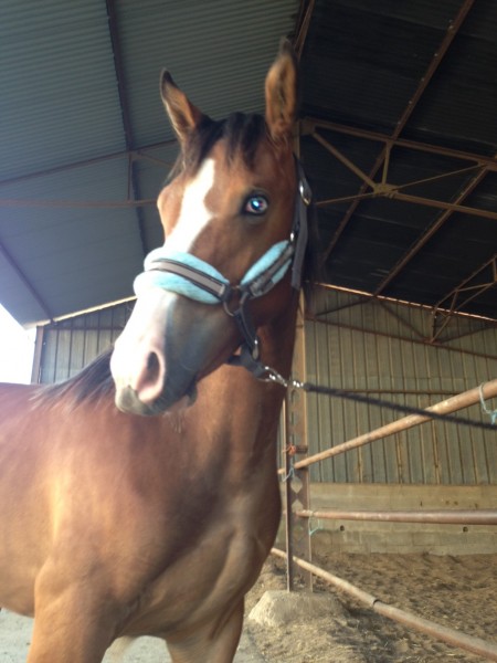 Photo de profil de cicou77