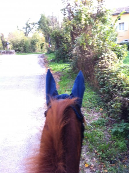 Photo de profil de claire84270