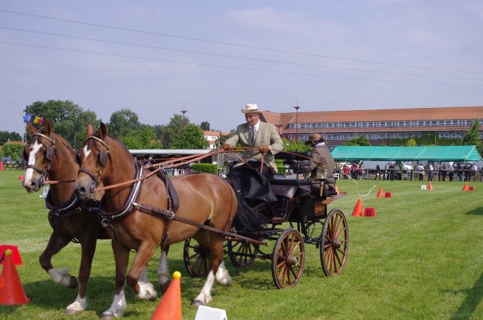 Photo de profil de clairfaye