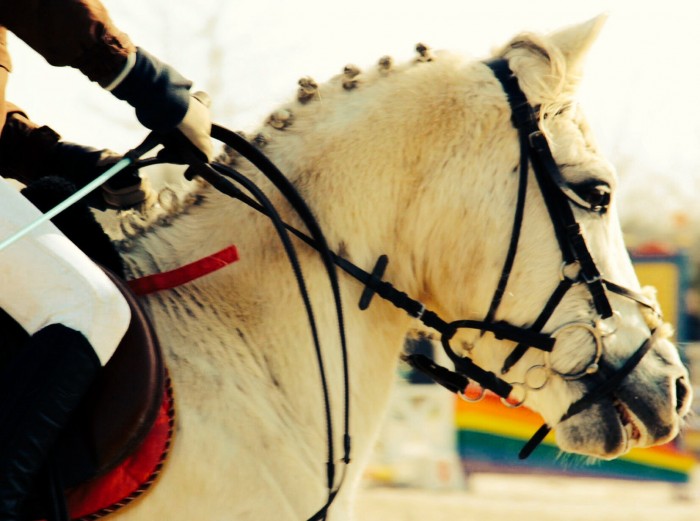 Photo de profil de clemdu83