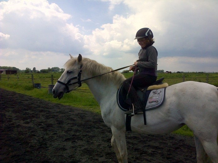 Photo de profil de cmajumentgrise