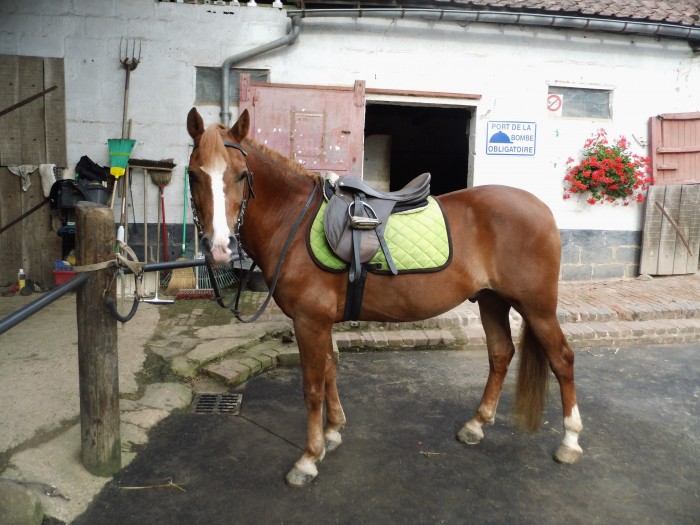 Photo de profil de coraliezanzibar