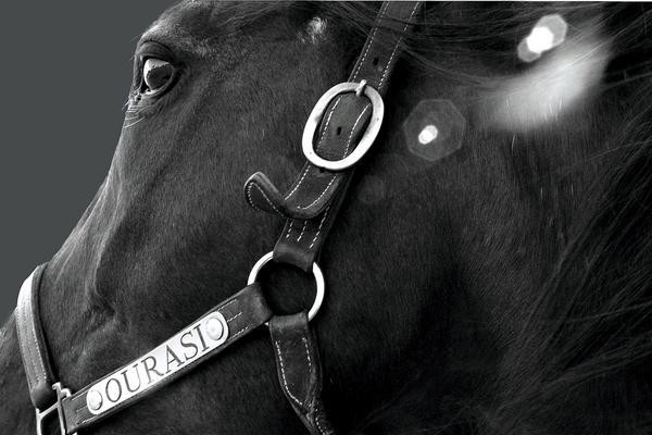 Photo de profil de courage