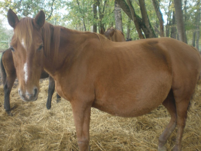 Photo de profil de divounette