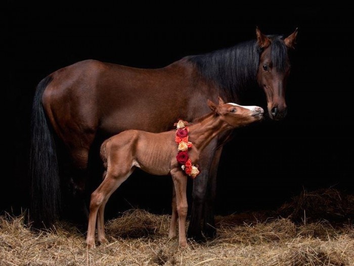 Photo de profil de equidlox