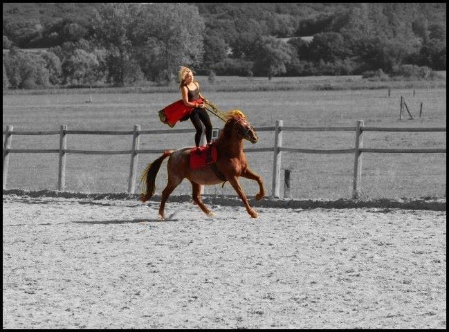 Photo de profil de equinoemie