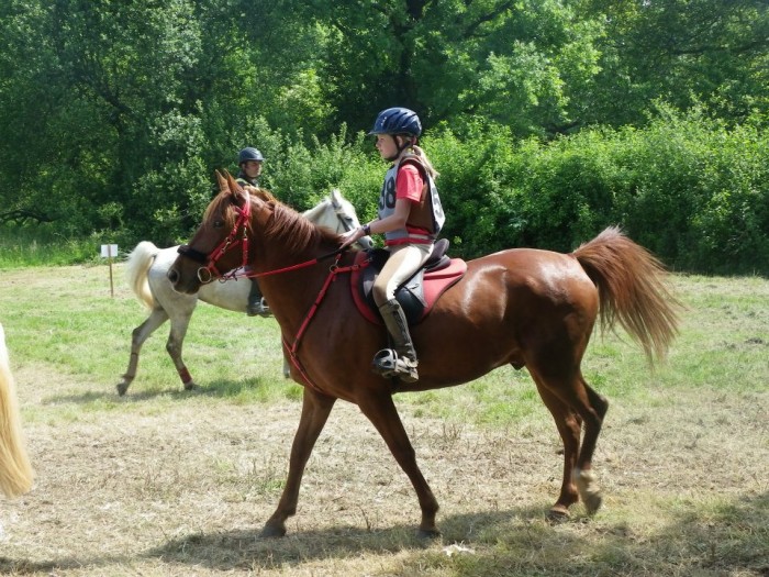 Photo de profil de equirole
