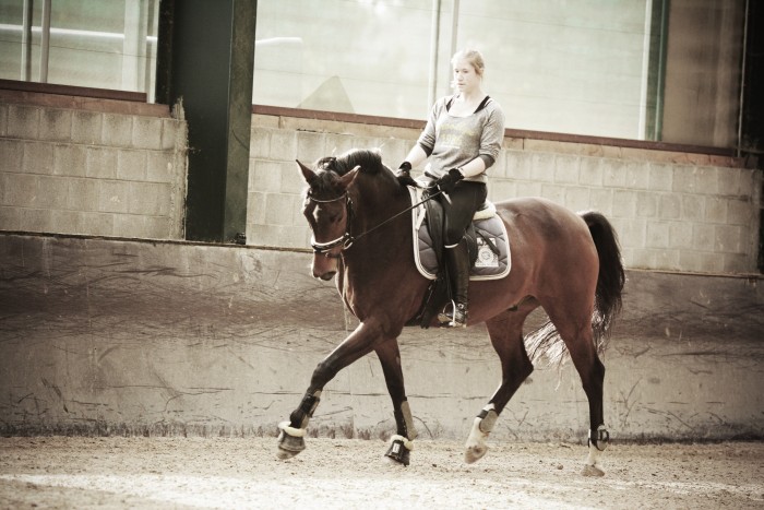 Photo de profil de faes_meghan