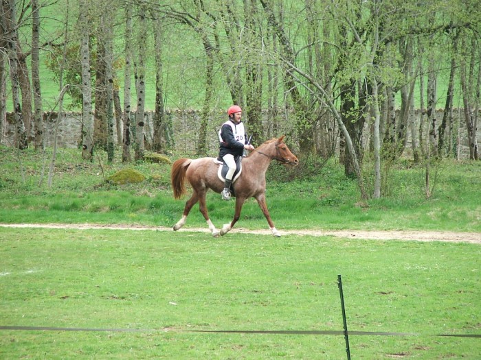 Photo de profil de fastaf