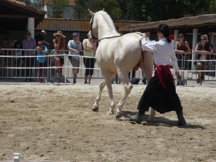 Photo de profil de flofers