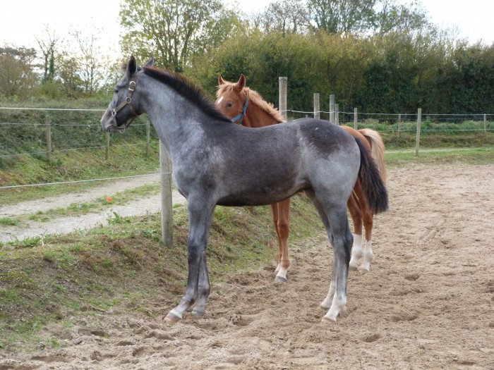 Photo de profil de flym