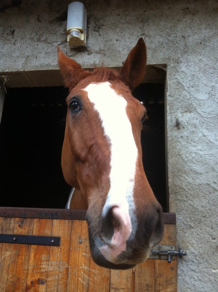 Photo de profil de focus