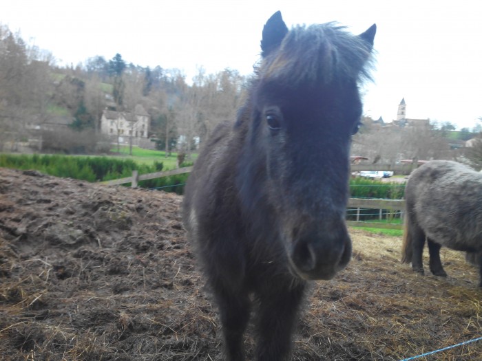 Photo de profil de gachen