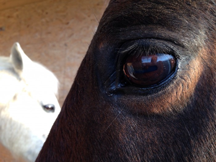 Photo de profil de geronimo.x3