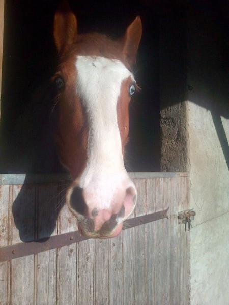 Photo de profil de ghoost