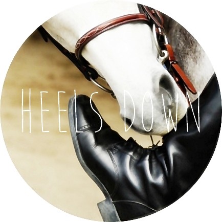 Photo de profil de heelsdown