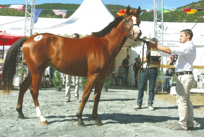 Photo de profil de isa18