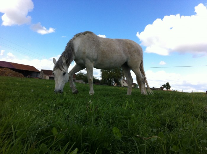 Photo de profil de jilibibi