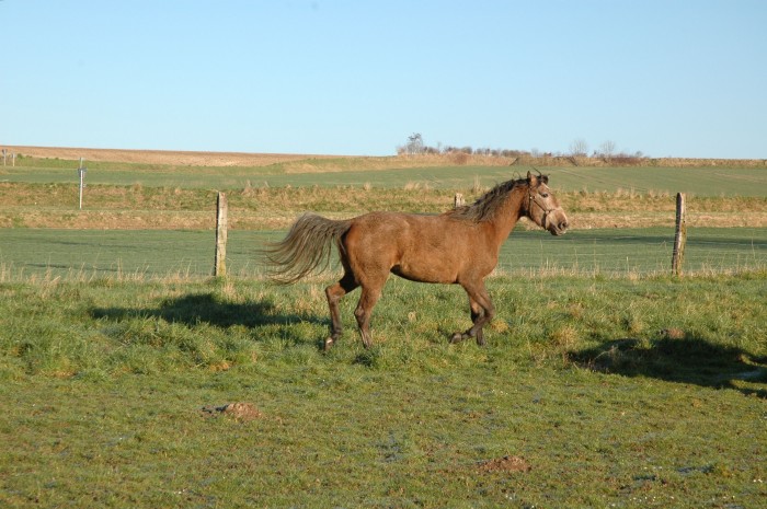Photo de profil de jpgilibe