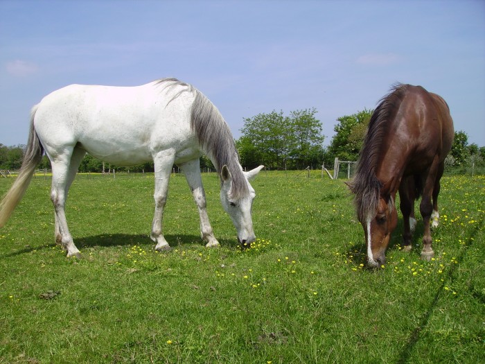 Photo de profil de juju72