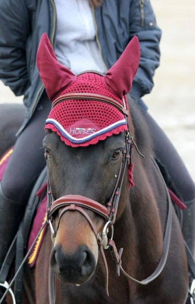 Photo de profil de juliettetheone