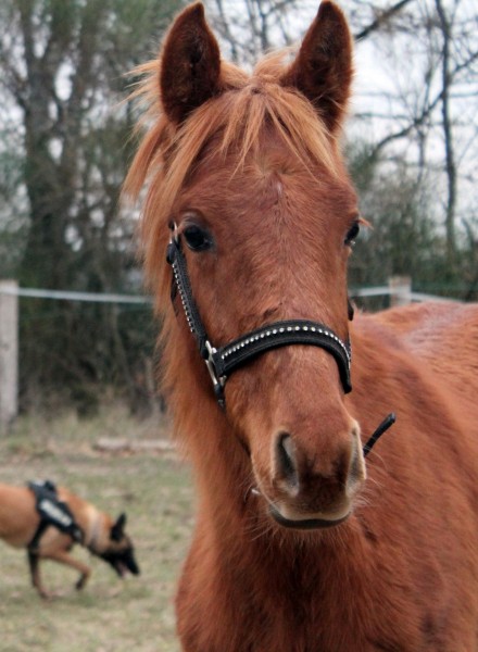 Photo de profil de kachoux26