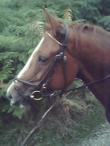 Photo de profil de karthage