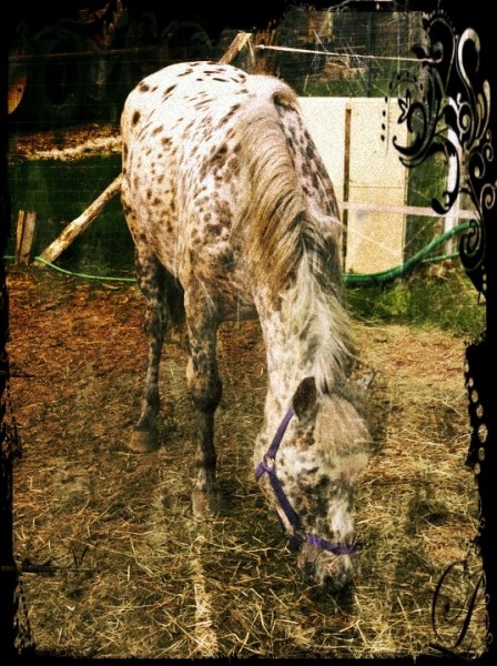 Photo de profil de kavia77