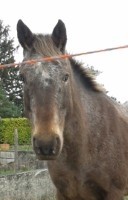 Photo de profil de kity26
