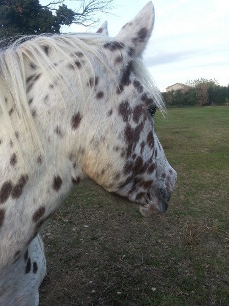 Photo de profil de krystyn