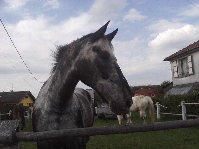 Photo de profil de kyobello