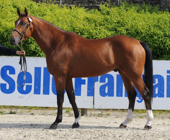 Photo de profil de laulau349