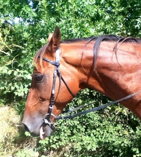 Photo de profil de lilicedu18