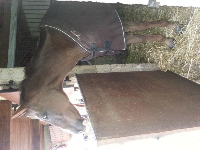 Photo de profil de lilimelo