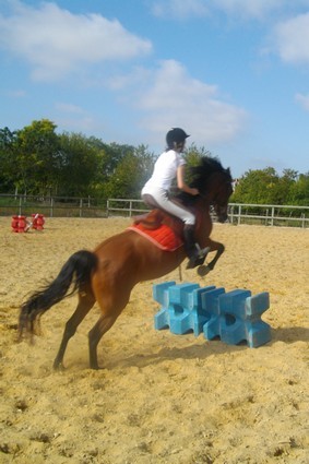 Photo de profil de lilipeach