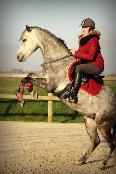 Photo de profil de linelovehorses