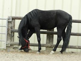 Photo de profil de lolaespgn