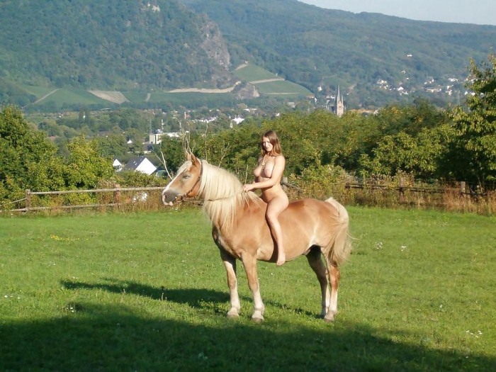 Photo de profil de lologay