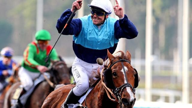 Photo de profil de lolojack