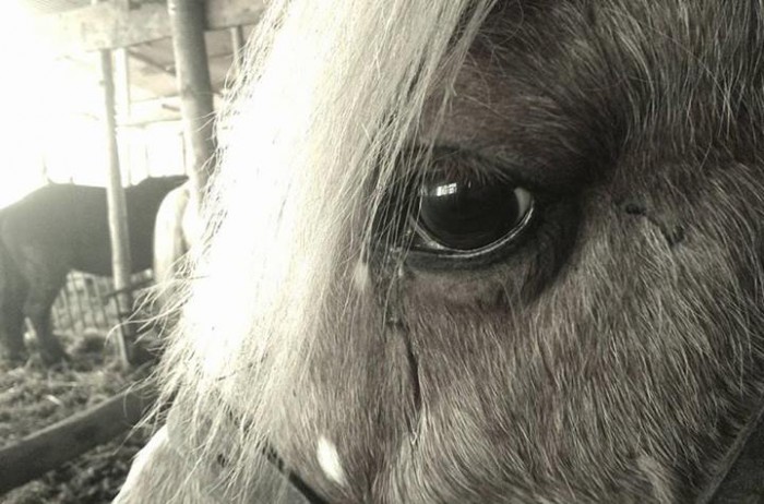 Photo de profil de lorette_eclaire